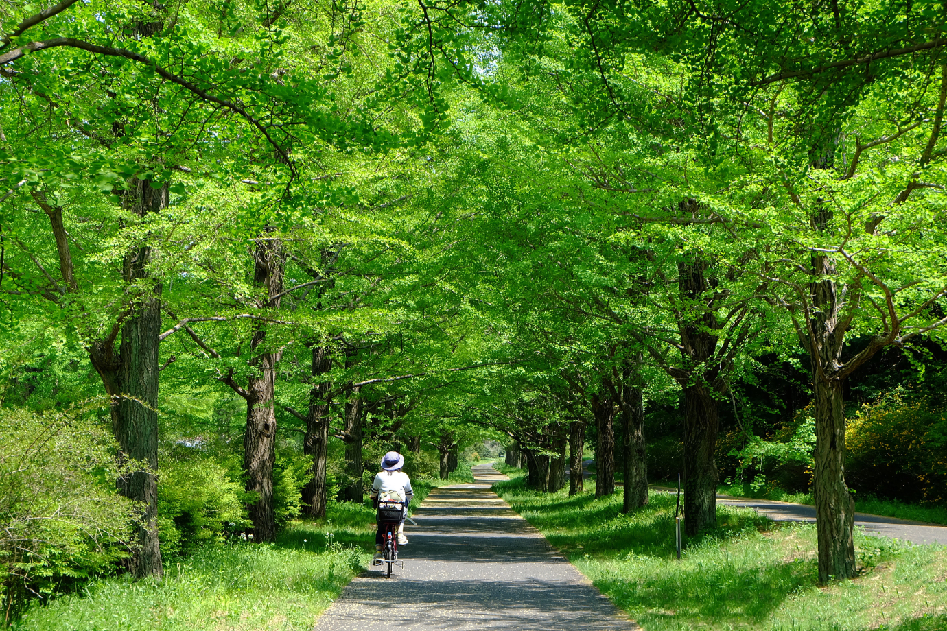 熊本県人吉市「球磨川サイクリングコース」を体験し、デジタルマップをPRしてくれる旅人インスタグラマー募集