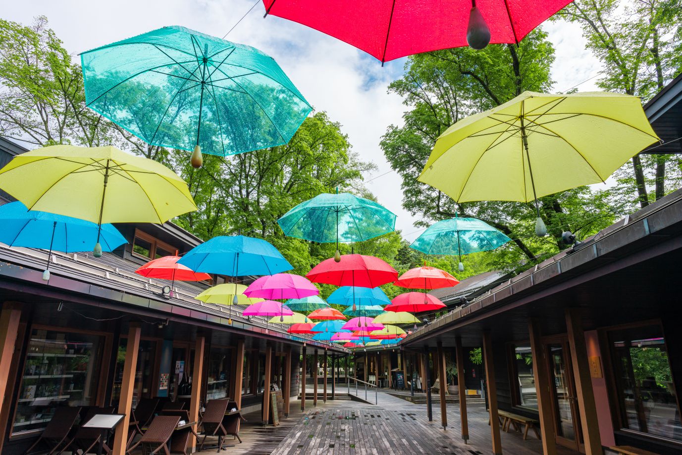 取材なし】楽天トラベルで長野・新潟のお土産記事を執筆してくれる旅人ライター募集！ | SAGOJO