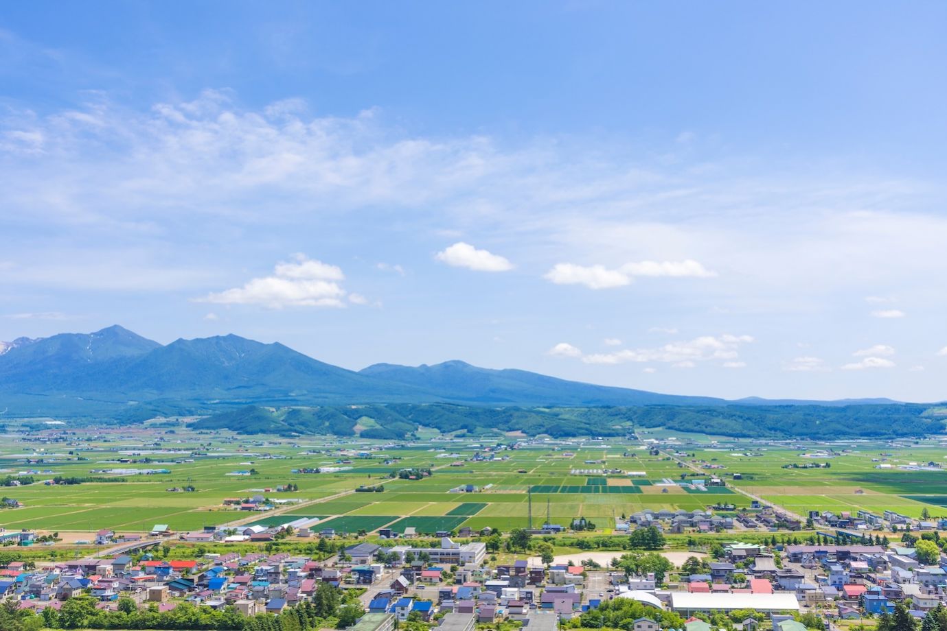 【北海道 中富良野町】地域おこし協力隊のインタビュー記事を制作してくれる旅人ライターを募集！