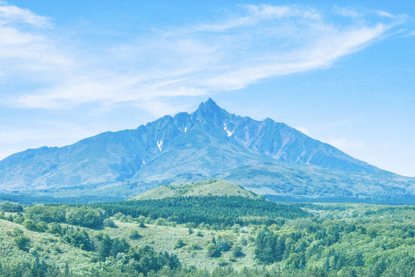 利尻島の食の未来を一緒に創る！ 飲食店立ち上げ × まちづくりに挑む地域おこし協力隊募集【お試し滞在OK】