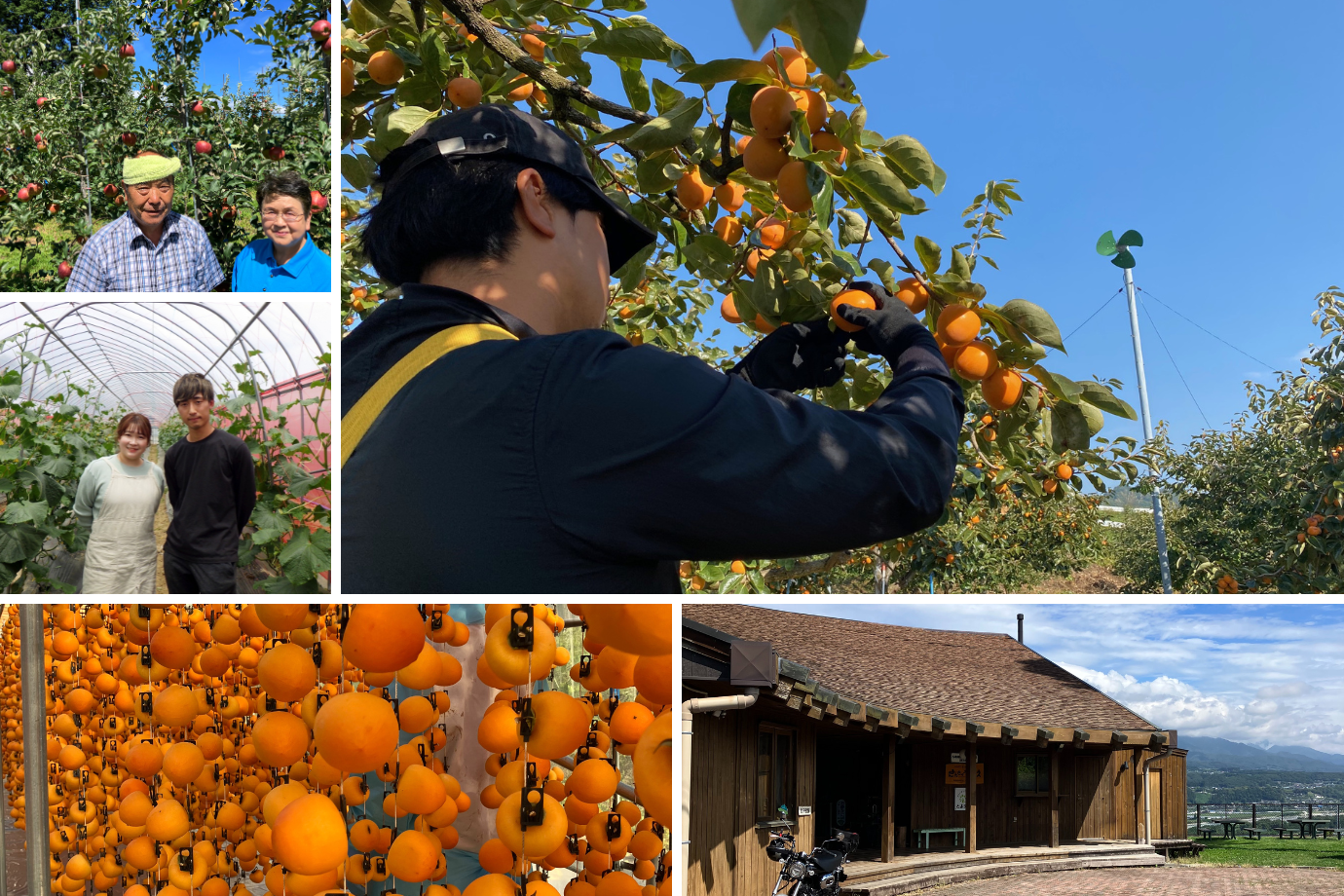 【長野県 豊丘村】収穫した柿が美味しい干し柿に！ 1週間の「旅×シゴト」プログラムで特別な秋の思い出をつくりませんか？