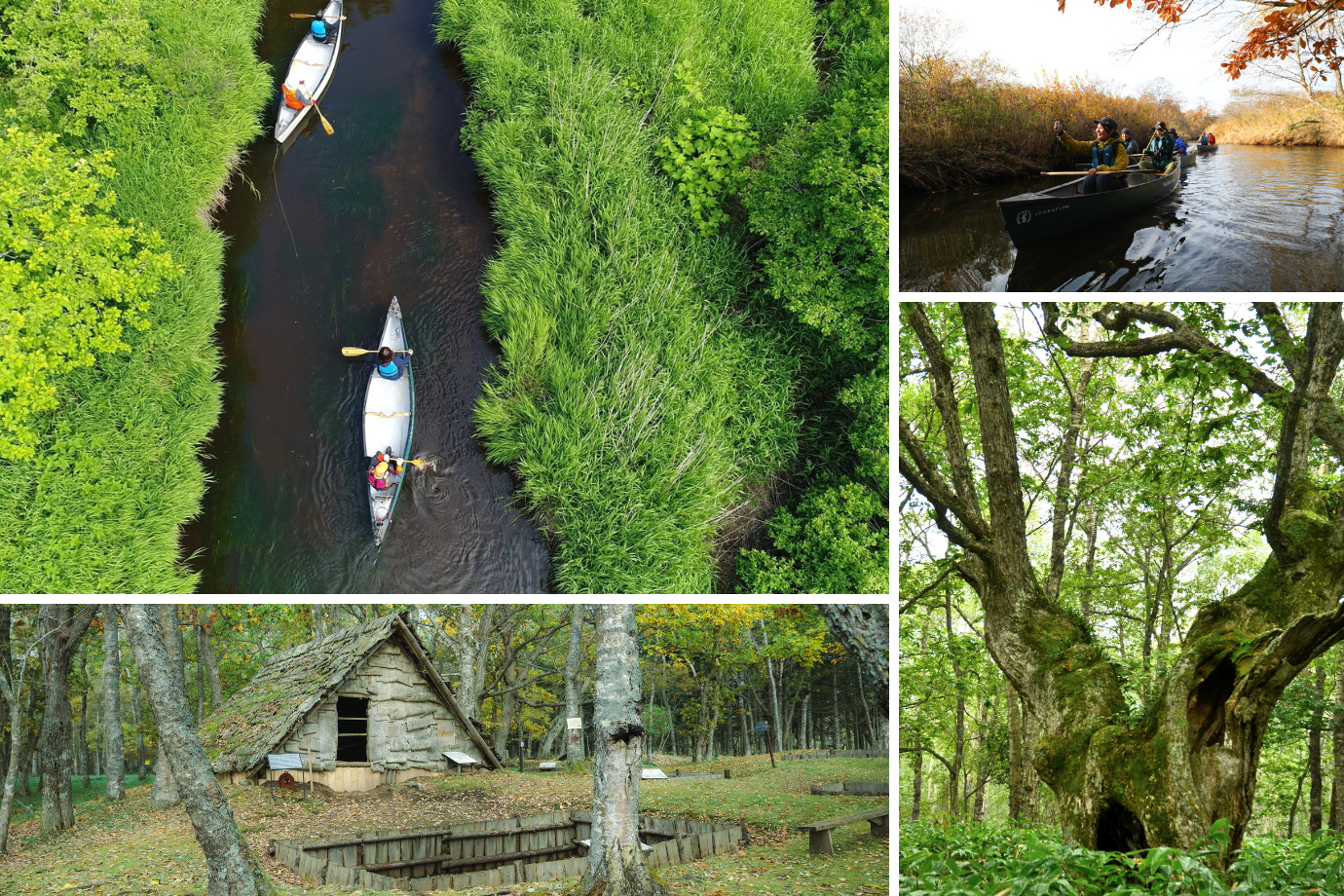 1万年の歴史を1冊に！ ポー川史跡自然公園のガイドマニュアルをつくる旅人編集者 & デザイナー募集【北海道 標津町】