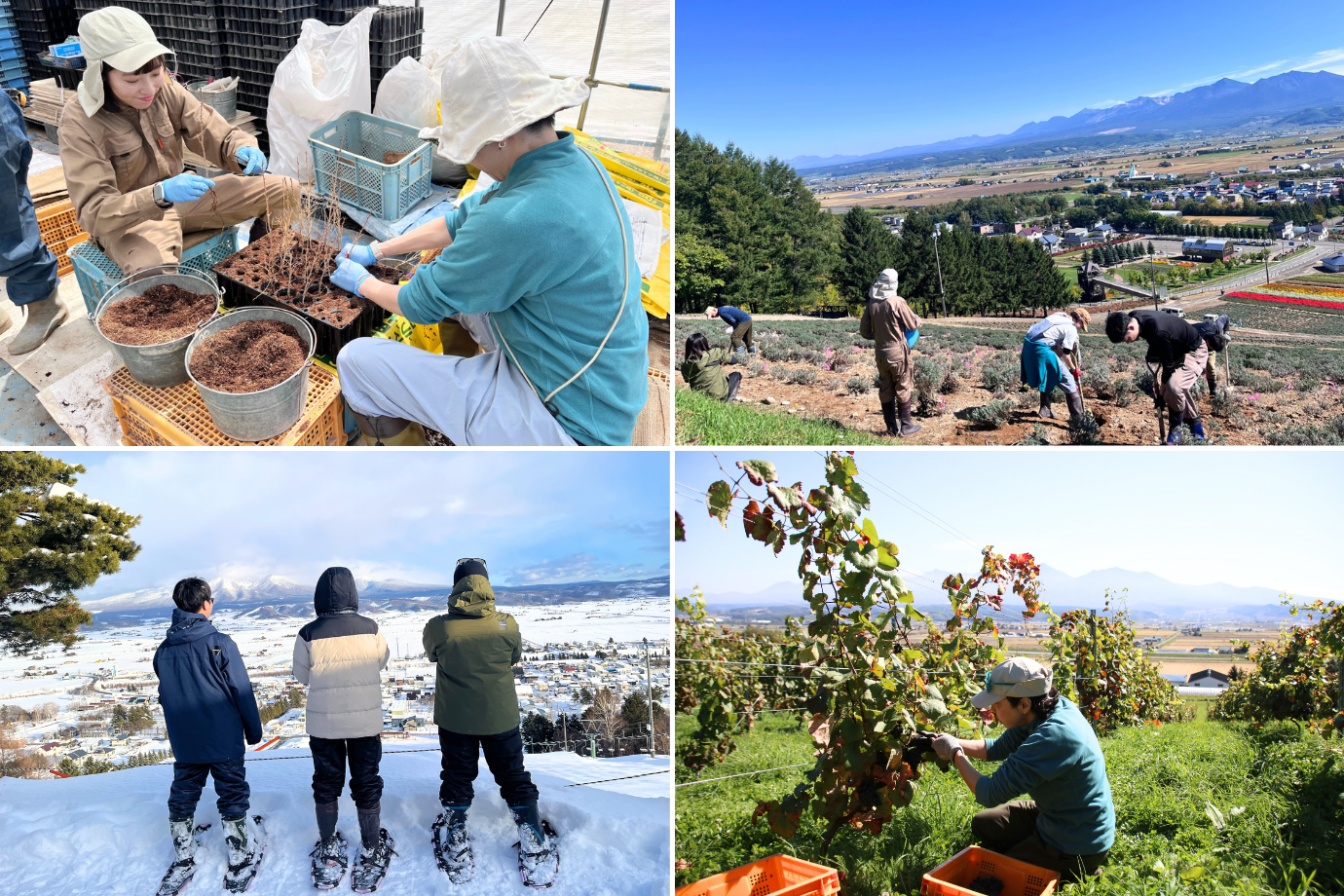 北海道 中富良野町で温かい人の繋がりの循環を！ コミュニティマネージャー & 魅力発信スタッフを大募集【地域おこし協力隊】