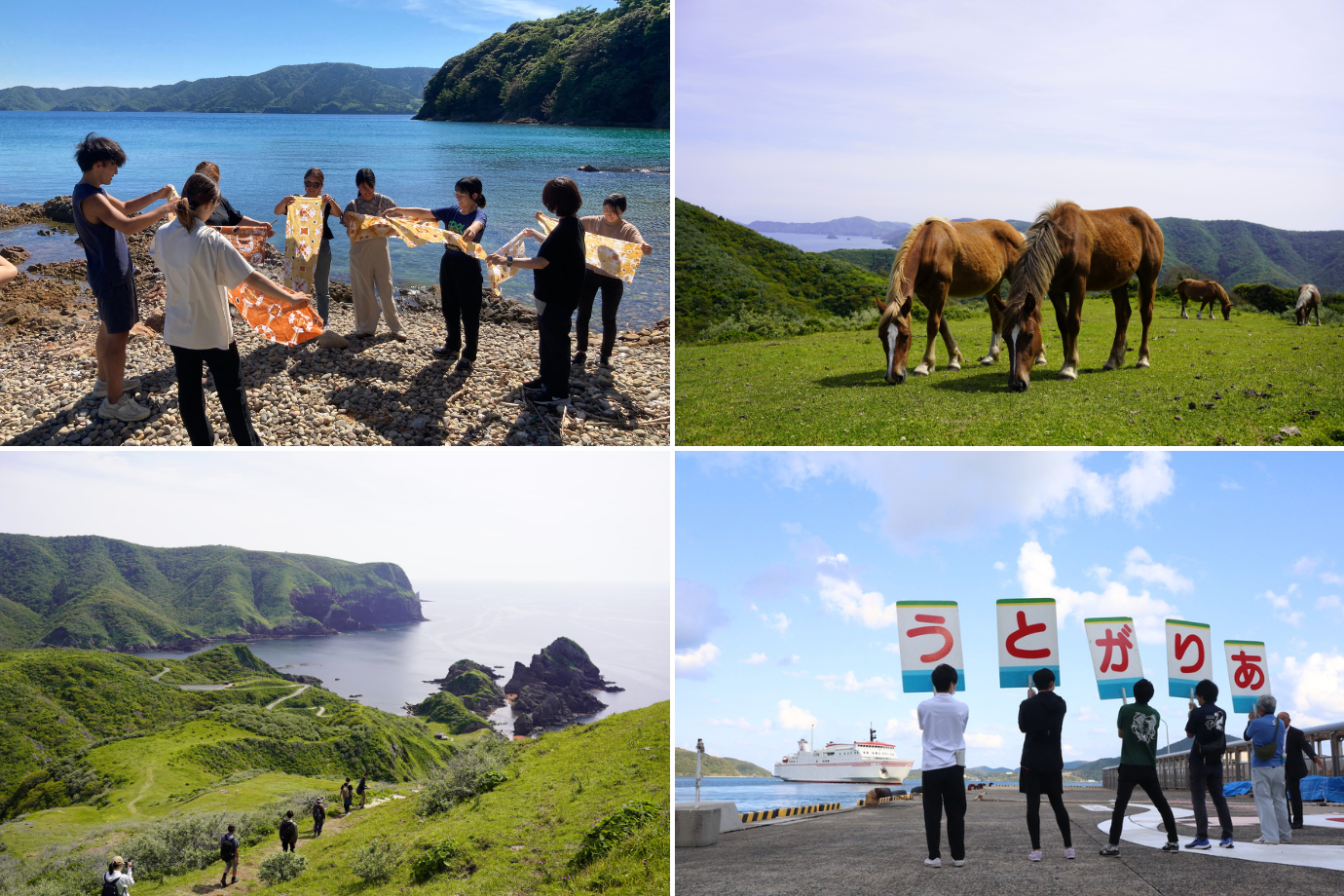 島に “旅する暮らし” の拠点をつくる！ 隠岐の絶景・西ノ島で地域と旅人をつなぐ地域おこし協力隊を募集