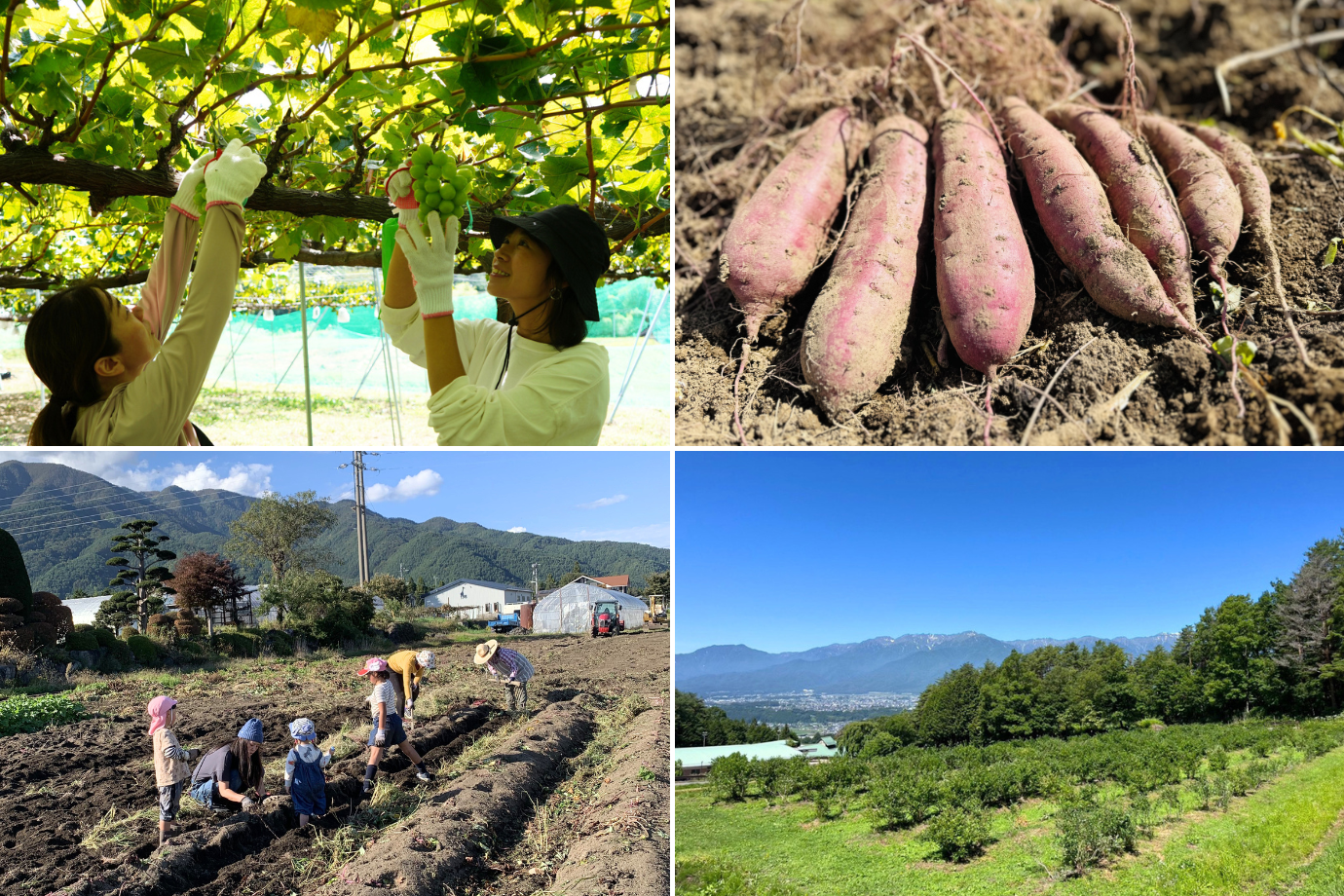 【長野県 駒ヶ根市】秋の味覚の収穫や養蚕を体験！ 地域とつながる1週間の「旅×シゴト」に参加しませんか？