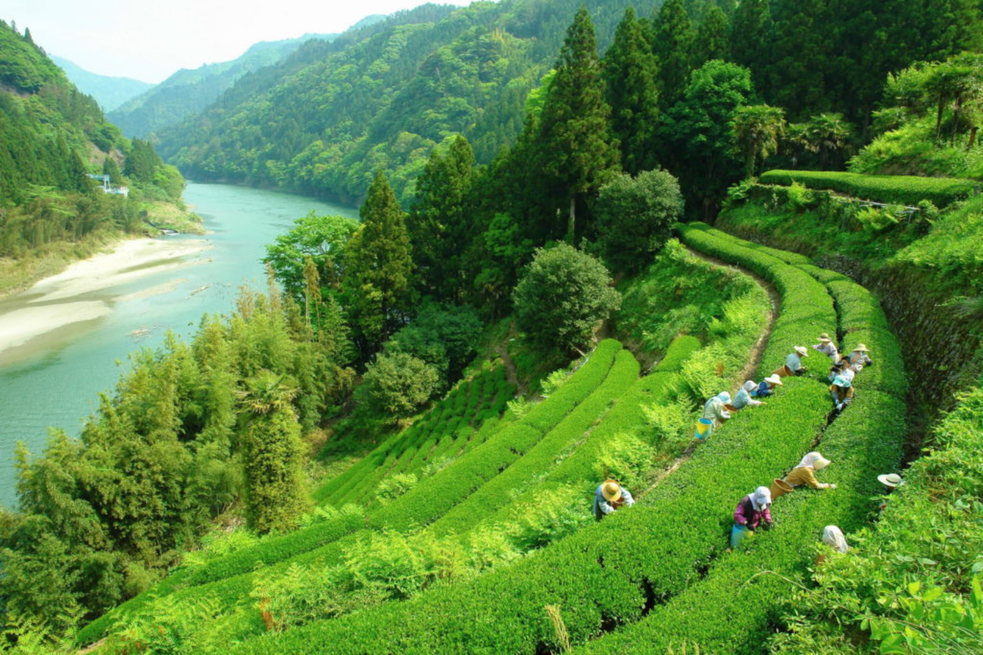 人生の大先輩が暮らす “幸せの村” で「旅×シゴト」体験！ 幻の巨大ナス収穫 & キャンプ場の裏側を楽しもう【長野県 天龍村】