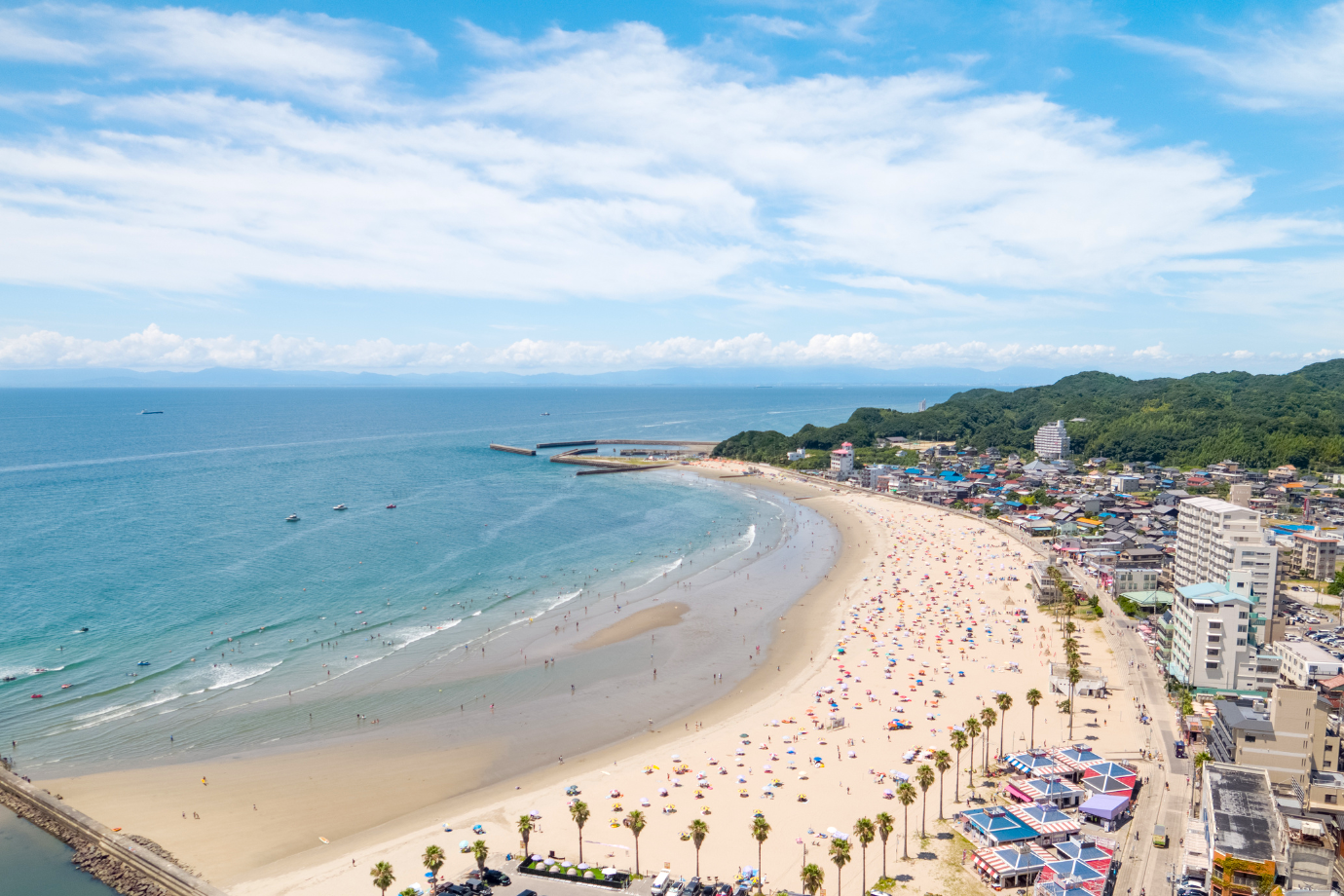 【愛知県 南知多町】海辺のまちで、呑んびりとことこ。地元グルメイベントの運営をお手伝いしてくれる旅人募集！