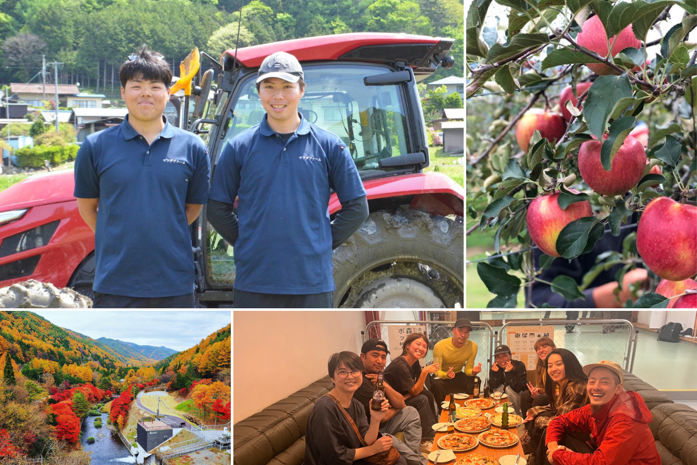 完熟りんごを収穫する秋旅へ！ 長野県 辰野町で “働いて・食べて・出会う” 6泊7日の旅人募集