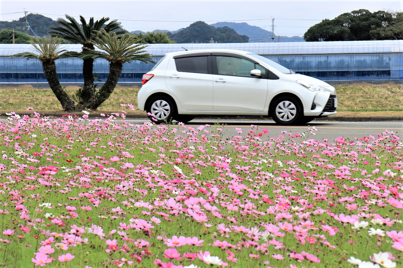 【簡単応募 9月分】自動車保険会社のSNSで“おすすめドライブスポット”を紹介してくれる旅人募集!