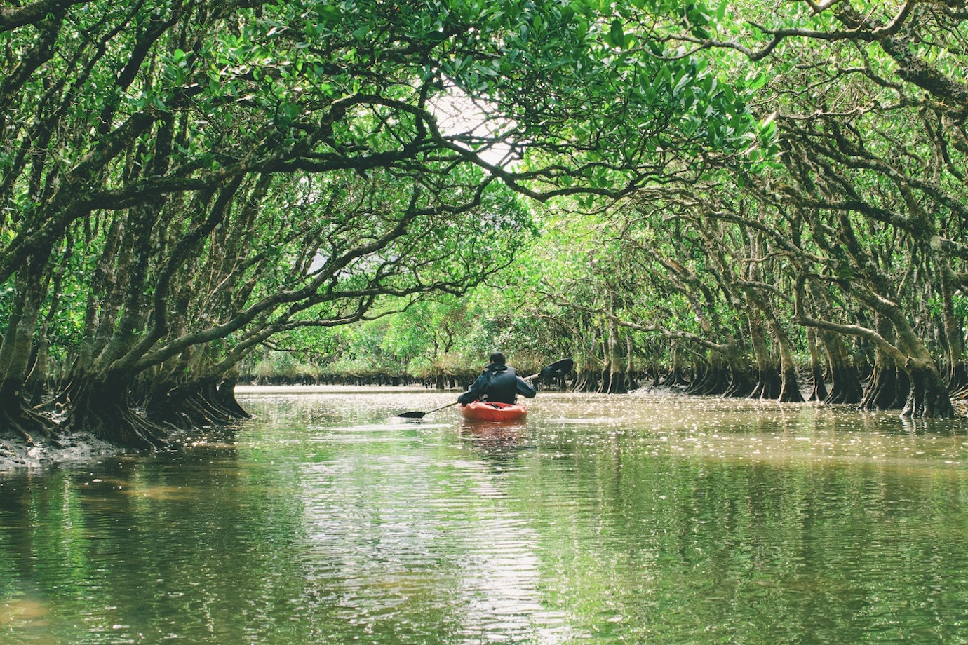 奄美大島で旅アプリを体験！ サービスの魅力を動画・写真でPRしてくれる旅人インフルエンサーを募集！