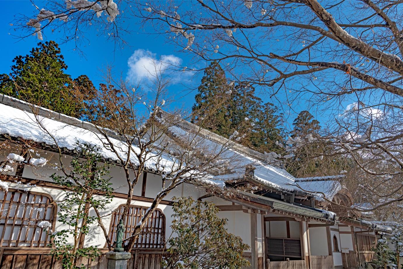 【1月分】お寺に行きたくなる!お寺周辺の面白スポットを紹介し、魅力を発信してくれる旅人ライター募集!