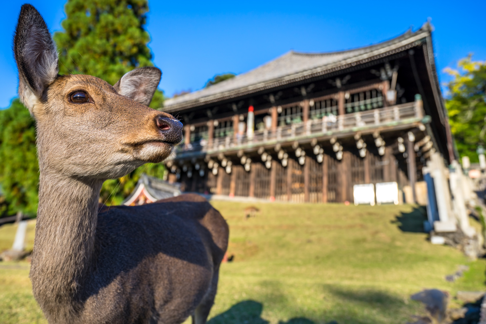 日本全国の人気観光地12スポットが舞台! 楽天トラベルで「思わず旅したくなる」記事を書いてくれる旅人募集