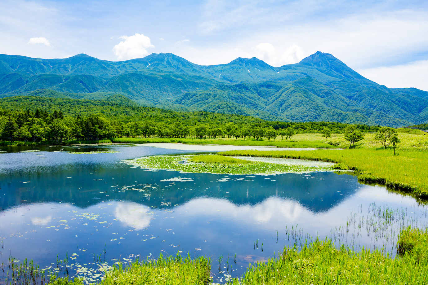北海道・知床エリアで3泊4日! 夏の観光の魅力をインスタグラムでPRしてくれる旅人インフルエンサー募集