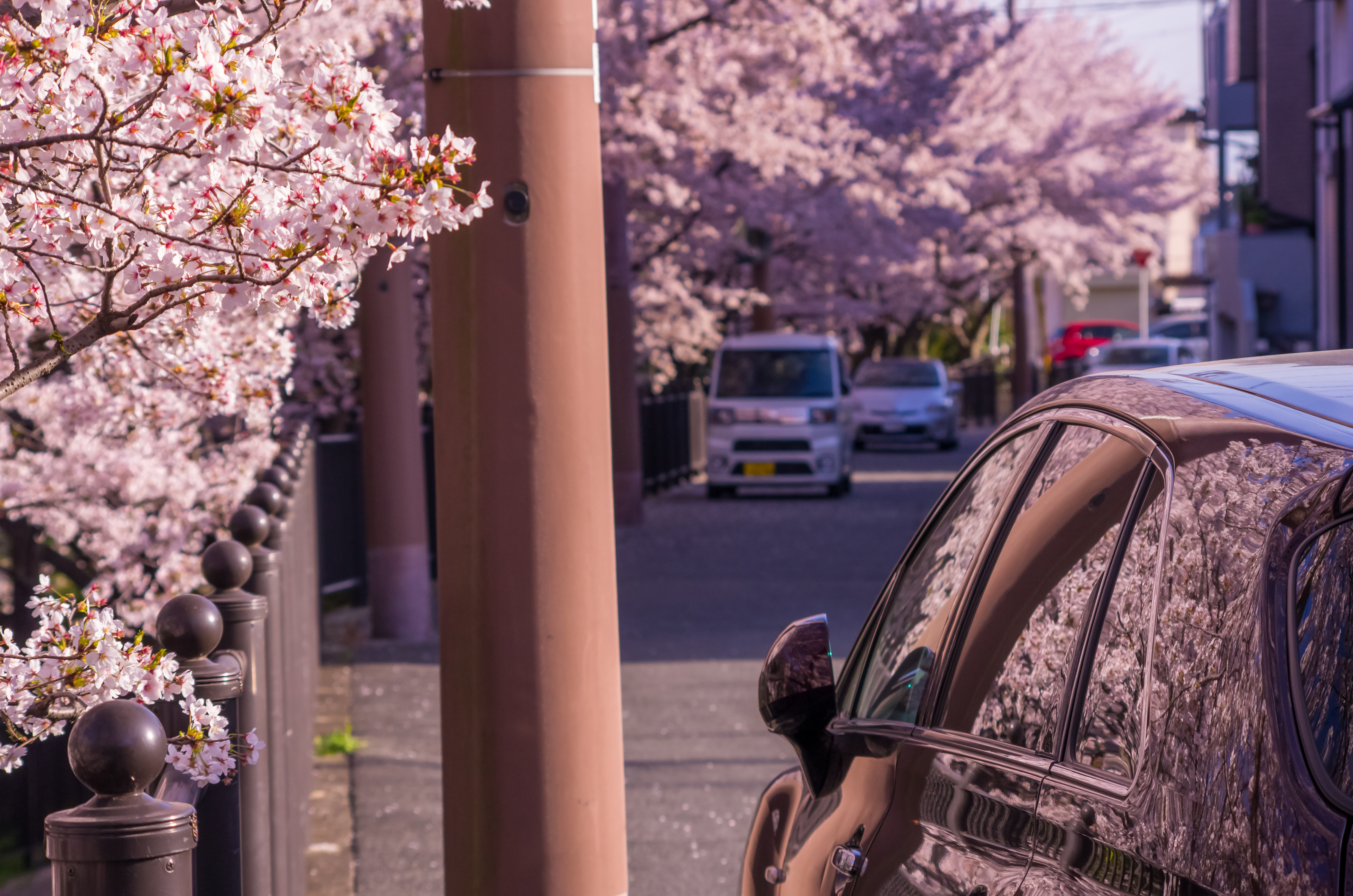 【簡単応募・4月分】自動車保険会社のSNSで“おすすめドライブスポット”を紹介してくれる旅人募集