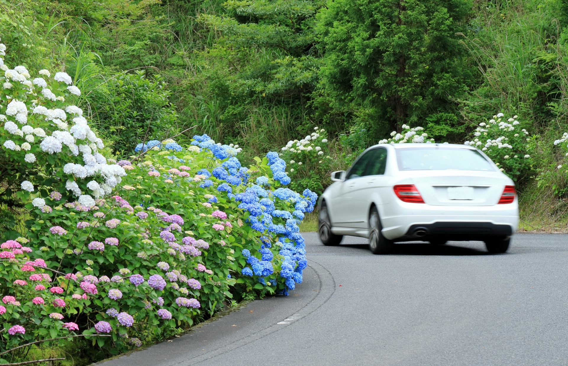 【簡単応募 6月分】自動車保険会社のSNSで“おすすめドライブスポット”を紹介してくれる旅人募集!
