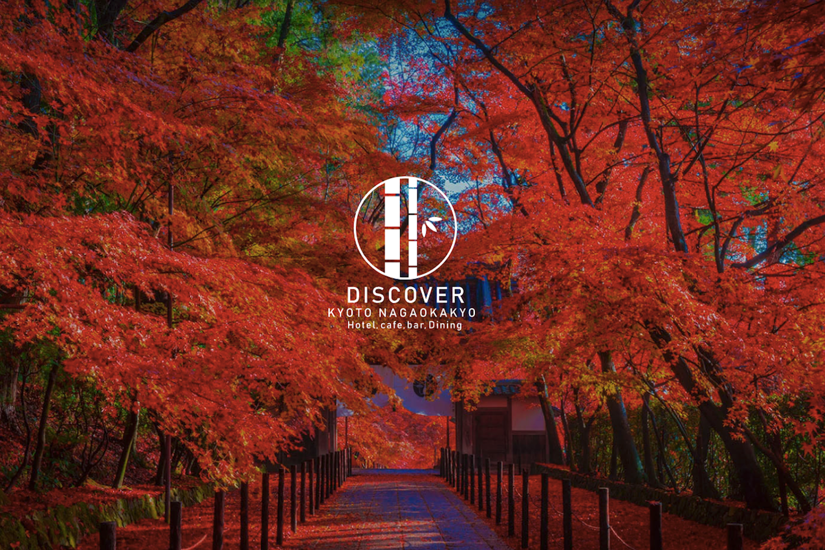 長岡京に新しいホテルが誕生!『Discover 京都長岡京』の宿泊体験を英語でPRしてくれる旅人募集