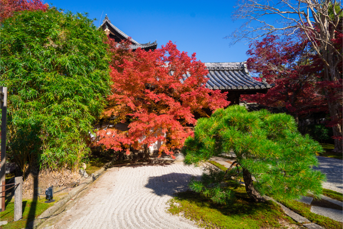 【10月分】お寺に行きたくなる!お寺周辺の面白スポットを紹介し、魅力を発信してくれる旅人ライター募集