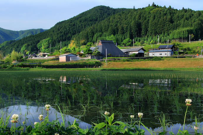 【アウトドア好き必見!】奈良県御杖村でお試し移住体験! 村民さんと働きながら村の魅力を発信してください!