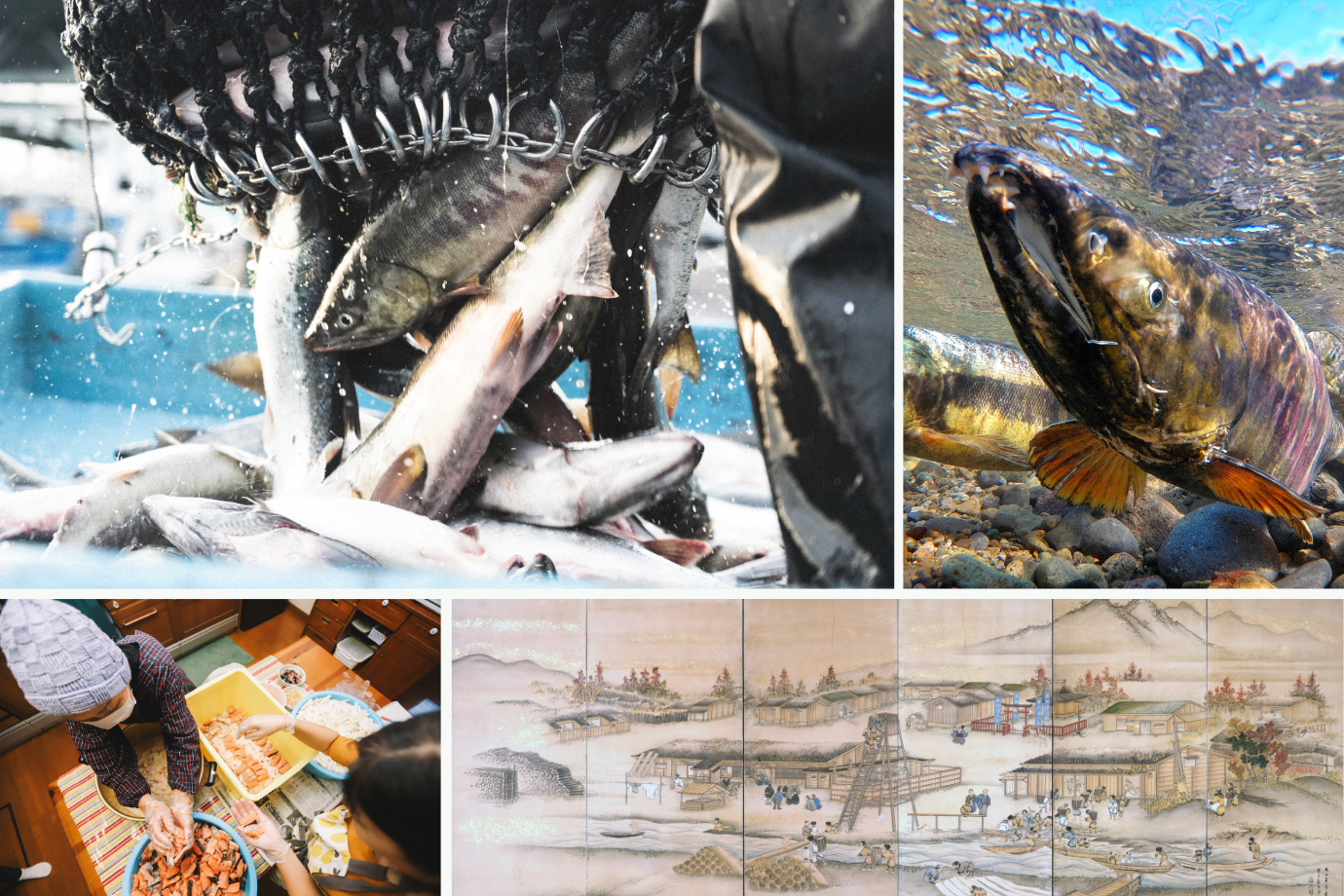 【北海道 標津町】鮭の聖地に受け継がれる物語を映像で紡ぐ、旅人動画クリエイターを募集！