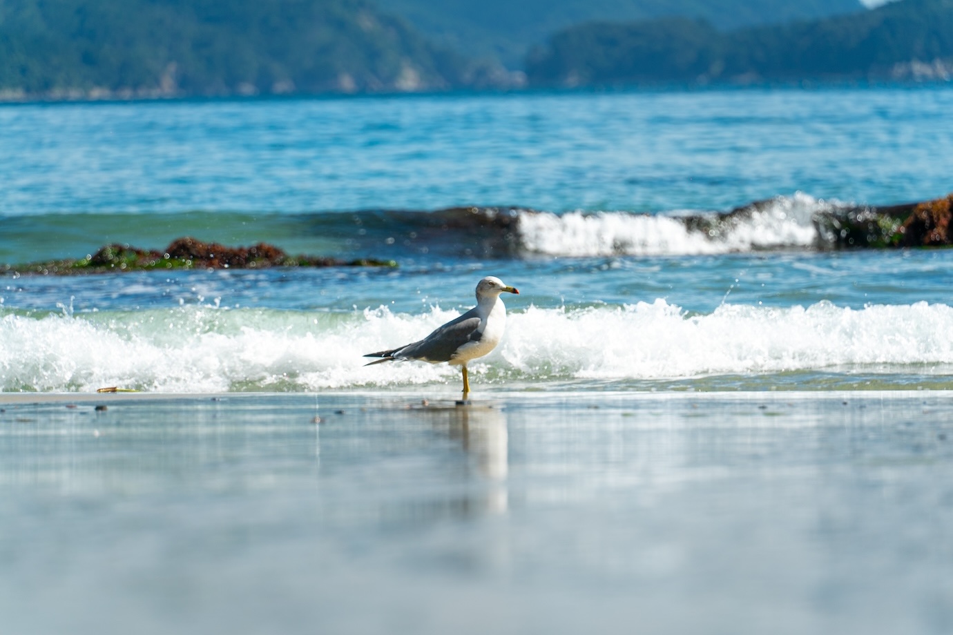 【宿泊無料】3泊4日〜自由に滞在！ 自分のペースで “暮らし体験” をしてみませんか？【岩手県 大槌町】