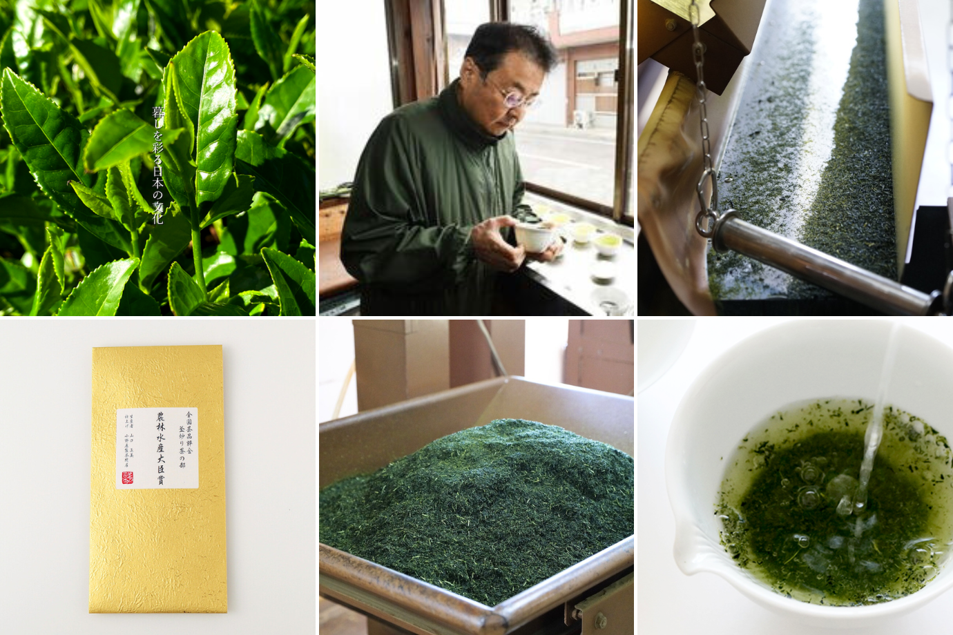 【佐賀県・嬉野温泉】創業79年の老舗茶問屋で、お茶の製造のお手伝いをしてくれる旅人募集！